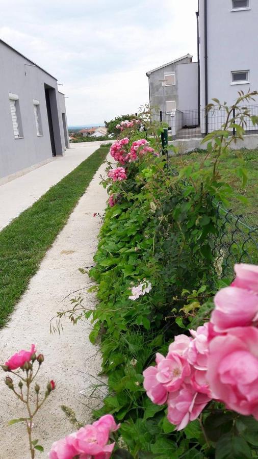 Apartments With A Parking Space Nin, Zadar - 13571 외부 사진